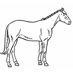 Horse (Animals) coloring page #178238 to print and color