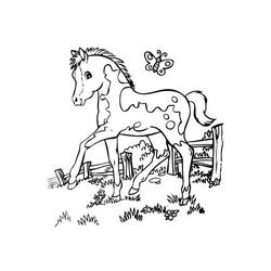 Horse (Animals) coloring page #178243 to print and color