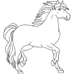 Horse (Animals) coloring page #178251 to print and color