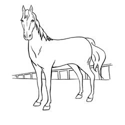 Horse (Animals) coloring page #178267 to print and color