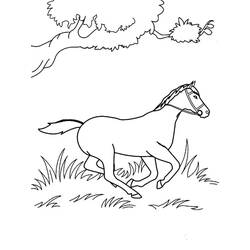 Horse (Animals) coloring page #178282 to print and color