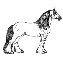 Coloring page: Horse (Animals) #2166 - Printable coloring pages