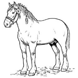 Coloring page: Horse (Animals) #2168 - Printable coloring pages