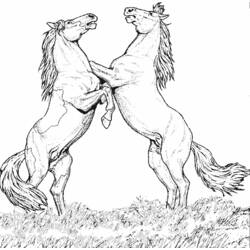 Coloring page: Horse (Animals) #2170 - Free Printable Coloring Pages