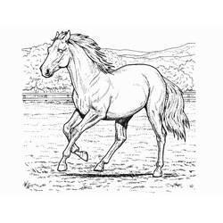 Coloring page: Horse (Animals) #2174 - Printable coloring pages