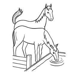 Horse (Animals) coloring page #217694 to print and color