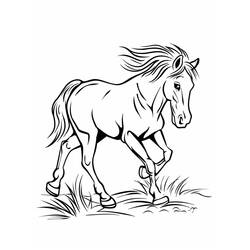 Horse (Animals) coloring page #217704 to print and color