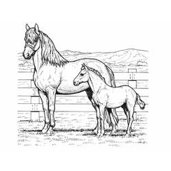 Coloring page: Horse (Animals) #2185 - Free Printable Coloring Pages