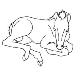 Coloring page: Horse (Animals) #2193 - Free Printable Coloring Pages