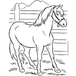 Coloring page: Horse (Animals) #2197 - Printable coloring pages