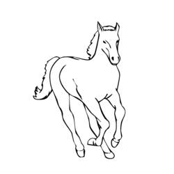 Coloring page: Horse (Animals) #2199 - Free Printable Coloring Pages