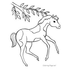 Coloring page: Horse (Animals) #2202 - Free Printable Coloring Pages