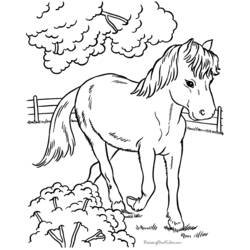 Coloring page: Horse (Animals) #2212 - Free Printable Coloring Pages