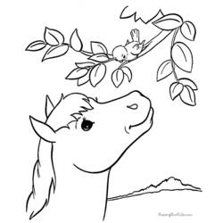 Coloring page: Horse (Animals) #2227 - Free Printable Coloring Pages