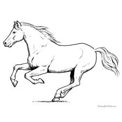 Coloring page: Horse (Animals) #2237 - Printable coloring pages