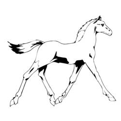 Coloring page: Horse (Animals) #2297 - Free Printable Coloring Pages