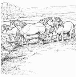 Coloring page: Horse (Animals) #2313 - Free Printable Coloring Pages