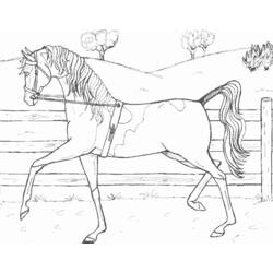 Coloring page: Horse (Animals) #2334 - Free Printable Coloring Pages