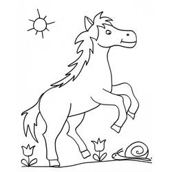 Coloring page: Horse (Animals) #2343 - Free Printable Coloring Pages