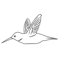 Humming-bird (Animals) coloring page #208593 to print and color