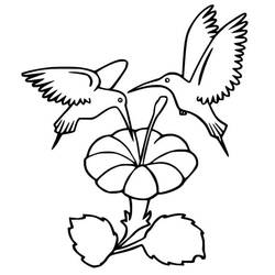 Humming-bird (Animals) coloring page #208610 to print and color