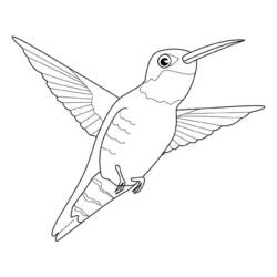 Coloring page: Humming-bird (Animals) #3819 - Printable coloring pages