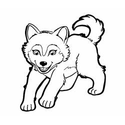 Husky (Animals) coloring page #189114 to print and color