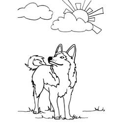 Husky (Animals) coloring page #189116 to print and color