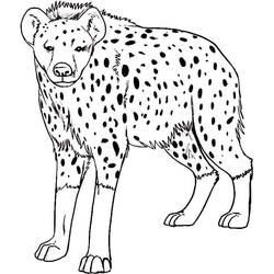 Hyena (Animals) coloring page #186929 to print and color