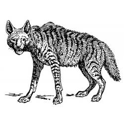 Coloring page: Hyena (Animals) #19644 - Printable coloring pages