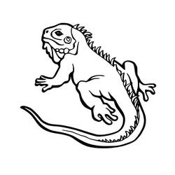 Iguana (Animals) coloring page #188791 to print and color