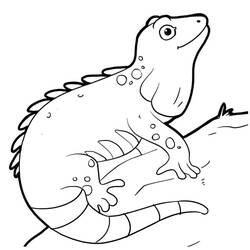 Iguana (Animals) coloring page #188800 to print and color
