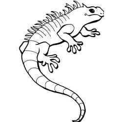 Coloring page: Iguana (Animals) #8915 - Printable coloring pages