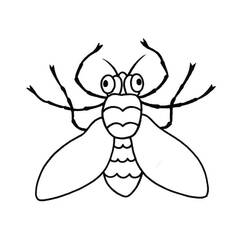 Coloring pages: Insect - Free Printable Coloring Pages