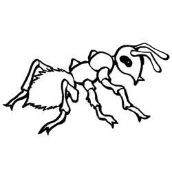 Coloring page: Insect (Animals) #179745 - Free Printable Coloring Pages