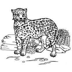 Coloring page: Jaguar (Animals) #9005 - Printable coloring pages