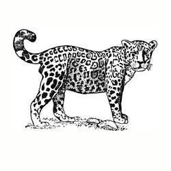 Coloring page: Jaguar (Animals) #9007 - Printable coloring pages