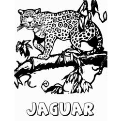 Coloring page: Jaguar (Animals) #9008 - Printable coloring pages