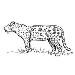 Coloring page: Jaguar (Animals) #9010 - Printable coloring pages