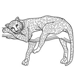 Coloring page: Jaguar (Animals) #9023 - Printable coloring pages