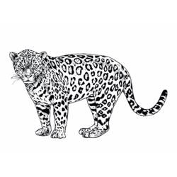 Coloring page: Jaguar (Animals) #9025 - Printable coloring pages