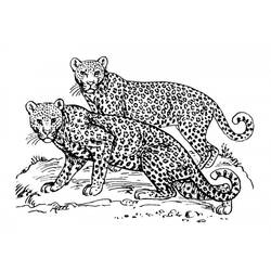 Coloring page: Jaguar (Animals) #9031 - Printable coloring pages