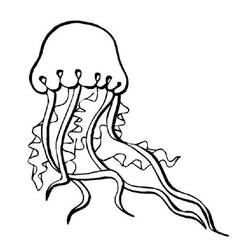 Coloring page: Jellyfish (Animals) #20381 - Printable coloring pages