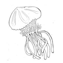 Coloring page: Jellyfish (Animals) #20397 - Free Printable Coloring Pages