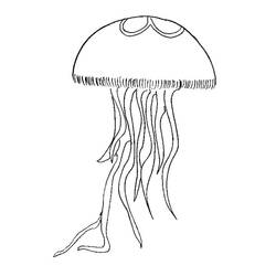 Coloring page: Jellyfish (Animals) #20399 - Printable Coloring Pages