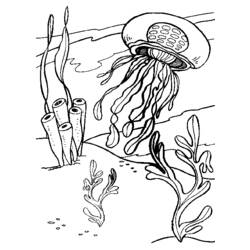 Coloring page: Jellyfish (Animals) #20407 - Free Printable Coloring Pages