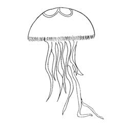 Coloring page: Jellyfish (Animals) #20416 - Printable coloring pages