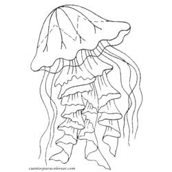 Coloring page: Jellyfish (Animals) #20521 - Free Printable Coloring Pages
