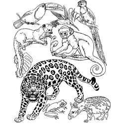 Jungle (Animals) coloring page #181002 to print and color