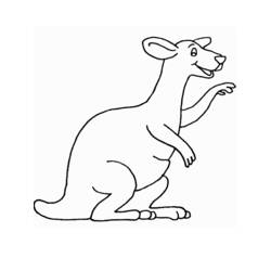 Coloring page: Kangaroo (Animals) #9120 - Free Printable Coloring Pages
